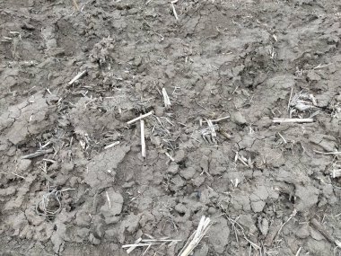 Yerdeki mısırları topladıktan sonra yağlı kek kaldı. Çamur, izler, saman. Islak, verimli topraklar. Çamur. Araziyi ekime hazırlıyorum. Tarım ve doğal tema