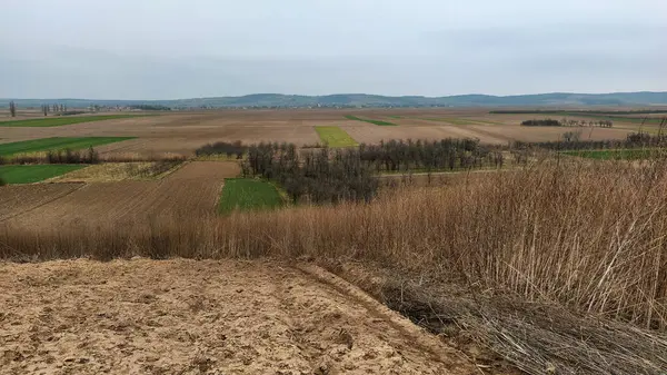Свежевспаханное Поле Пахотные Земли Плодородной Почвой Посадки Пшеницы Сельский Пейзаж — стоковое фото