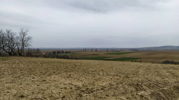 Freshly Plowed Field Arable Land Fertile Soil Planting Wheat Rural — Stockfoto