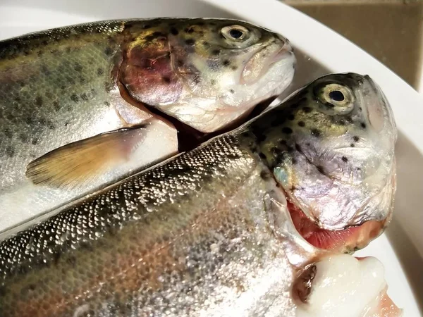 Two trout fish on a white plate. Fresh edible fish close-up. Shiny scales on the body, transparent eyes of the fish. High in omega-3 unsaturated fatty acids for a healthy diet. Mediterranean diet.