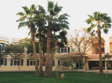 Mısır 3 yıldızlı otel. Sarı yüzlü iki katlı otel binası. Çimleri biçilmiş, yüksek hurma ağaçları olan, bakımlı bir bahçe. İyi akşamlar. Güneş batıyor ve yavaşça toprağı aydınlatıyor..