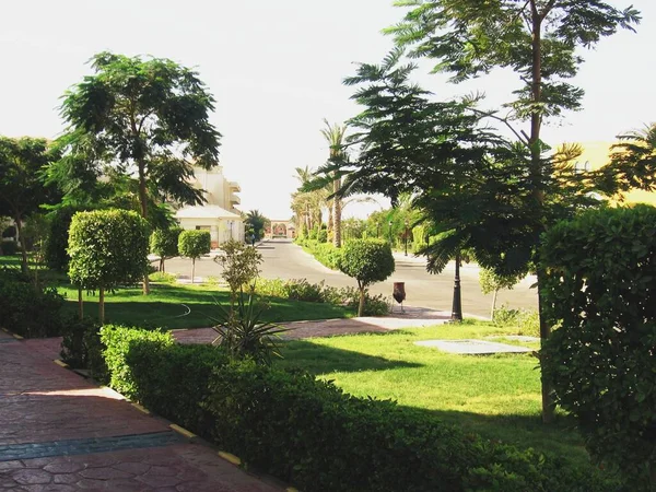 Hurghada Egypt March 2020 아름답고 가꾸어 잔디밭 공원이든 호텔이든 나무들 — 스톡 사진