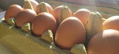 Kutuda tavuk yumurtası. Bahar güneşiyle aydınlatıldığında bir kabın içindeki bej yumurtalar. Malzemeler. Tarım ürünleri. Çiftlik yemeği. Uygun protein besinleri. Geri dönüştürülmüş ambalaj. Nüfus kavramı