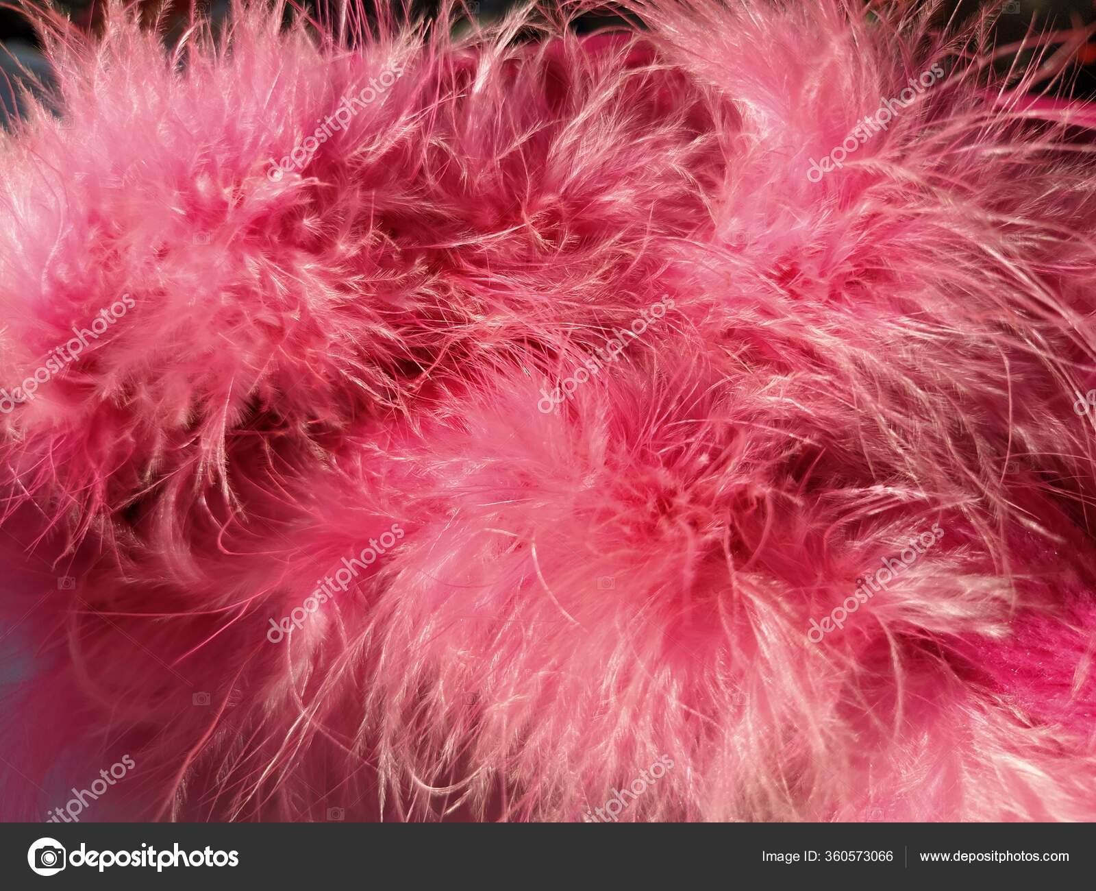 Pink Faux Fur Pink Colored Natural Bird Feathers Close Light Stock Photo by  ©cukugede 360573066