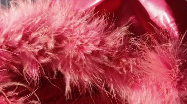 Pembe sahte kürk veya pembe renkli doğal kuş tüyleri. Hafif tüyler sallanıyor. Hassas bir doku. Sevgililer Günün kutlu olsun. Kadın ceketinden ya da kız ceketinden bir tasma. Parlak pembe ya da renk.