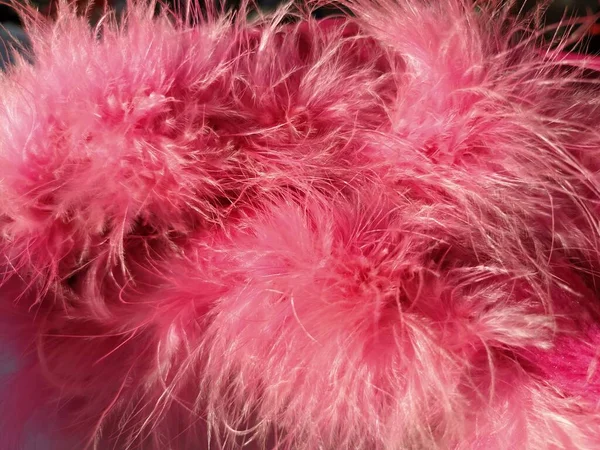 Pink faux fur or pink colored natural bird feathers close-up. Light feathers boa. Delicate texture. Greeting card Happy Valentines Day. Collar from a women's or girl's jacket. Bright pink or color