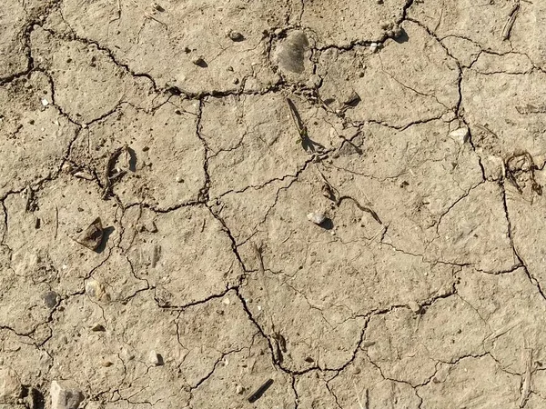 흙을으 토양은 베이지이다 변화입니다 진흙탕이야 먼지의 입자들 — 스톡 사진