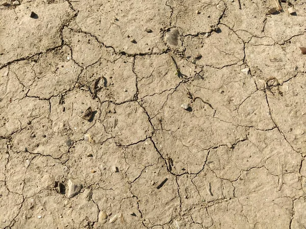 Terra Crepata Argilla Secca Terreno Beige Chiaro Siccità Cambiamenti Climatici — Foto Stock