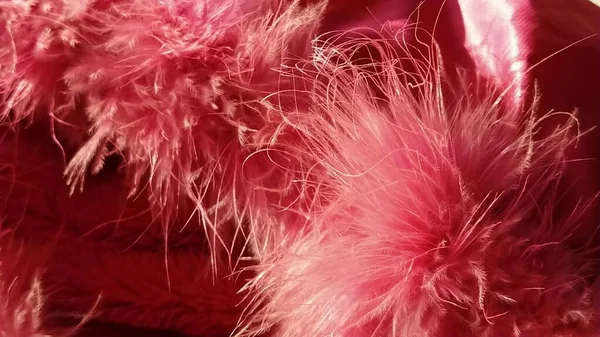 Pink faux fur or pink colored natural bird feathers close-up. Light feathers boa. Delicate texture. Greeting card Happy Valentines Day. Collar from a women\'s or girl\'s jacket. Bright pink or color.