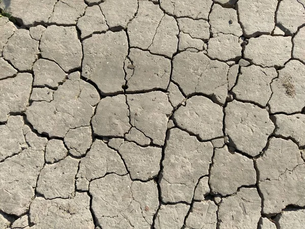 바닥에 갈라진 아리스 진흙을 클로즈업합니다 텍스처 — 스톡 사진