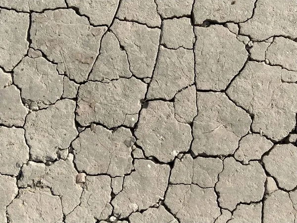 Scheuren Grond Belachelijk Grijze Grond Woestijn Sluiten Van Gebarsten Modder — Stockfoto