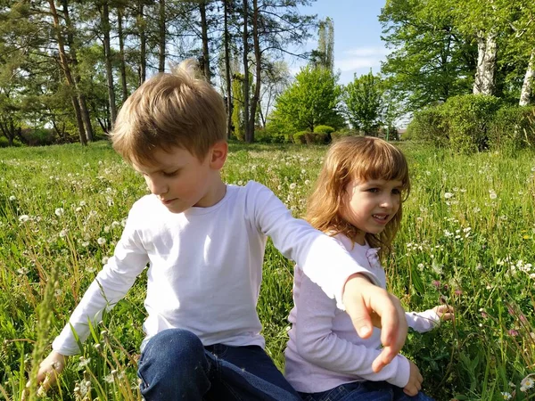 귀여운 아이들은 초원의 민들레씨를 댑니다 아이들 로등을 풀밭에 방향을 바라봅니다 — 스톡 사진