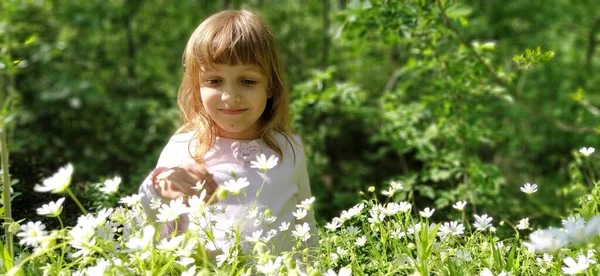 牧草地で金髪の素敵な女の子 野生の花は白い Stellariaはカーネーション科の開花植物の属です 女の子は花を見て笑顔かわいい — ストック写真