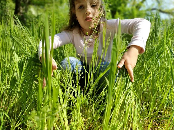 Bella Ragazza Nell Erba Verde Bambino Capelli Lunghi Biondi Una — Foto Stock