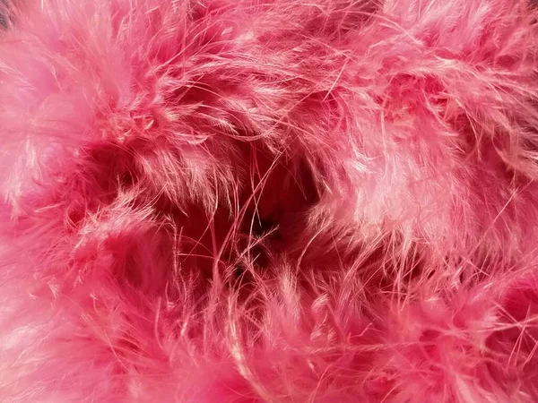 粉红绒毛或粉红色的天然鸟类羽毛特写 轻飘飘的羽毛精致的质感情人节快乐贺卡 女人或女孩外套上的领子亮粉色或色泽 — 图库照片