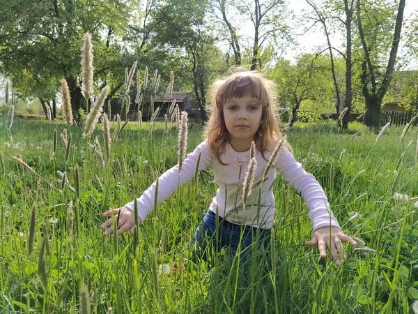 Mädchen auf der Wiese. Heckenartig grünes Gras umgibt das Kind. Das Konzept der Ökologie und Harmonie mit der Natur. Nettes Mädchen berührt die Pflanzen mit ihren Händen. Feld mit Getreide. — Stockfoto