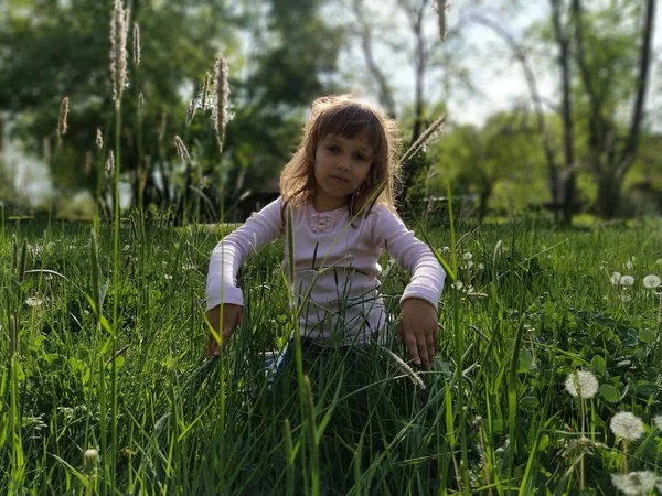 Mädchen auf der Wiese. Heckenartig grünes Gras umgibt das Kind. Das Konzept der Ökologie und Harmonie mit der Natur. Nettes Mädchen berührt die Pflanzen mit ihren Händen. Feld mit Getreide und Löwenzahn — Stockfoto