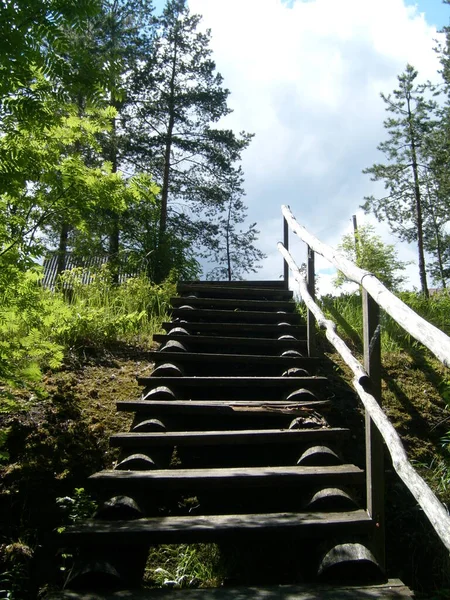 Escalera Madera Acantilado Descenso Ascenso Idilio Natural Distrito Kondopoga Karelia —  Fotos de Stock