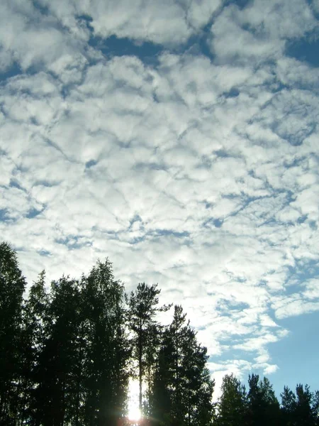Nubes Altas Cúmulos Cirrocumulus Puesta Sol Pintoresco Paisaje Bosque Cielo —  Fotos de Stock