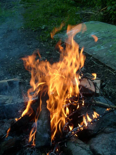 Burning firewood in a fire. Bright fire. Tongues of flame of orange color.