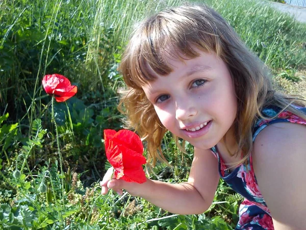 Menina Bonita Fareja Papoilas Vermelhas Prado Uma Menina Olha Para — Fotografia de Stock