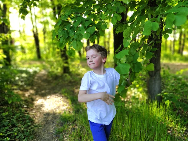 Ein Hübscher Netter Junge Mit Blonden Haaren Und Rosigen Wangen — Stockfoto