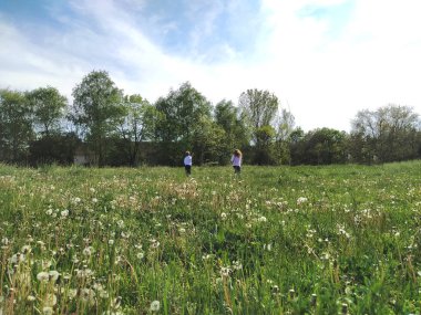 Çocuklar tarla boyunca koşar. Kırsal alan. Beyaz gömlek ve kot pantolon giyen çocuklar. Harekete geçme anı geldi. Çiçekli karahindibalarla dolu büyük bir tarla. Sirus bulutlu mavi gökyüzü. Sırbistan ve Belgrad.