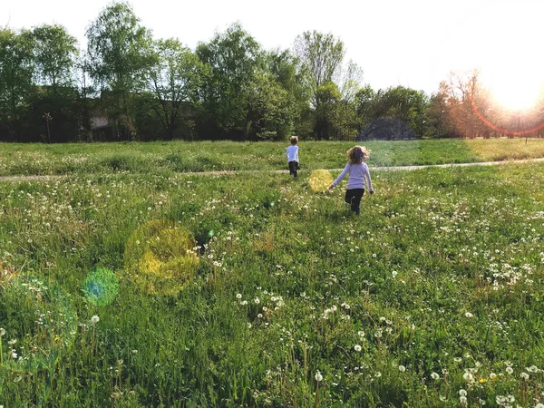 Kinder Rennen Über Das Feld Ländliche Landschaft Gleißenden Sonnenlicht Kinder — Stockfoto