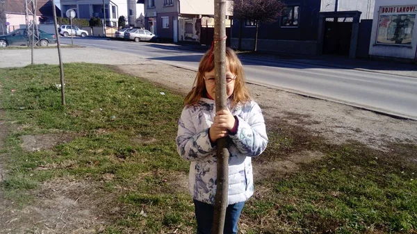 Belgrade Serbia February 2020 Year Old Girl Hides Thin Tree — Stock Photo, Image
