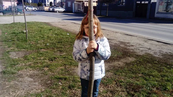 Belgrade Serbia February 2020 Year Old Girl Hides Thin Tree — Stock Photo, Image