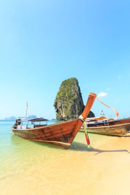 Longtale teknede plajda