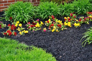Bahar çiçekleri, Batı Lafayette, Indiana 'da yetişen Hemerocallis yaprakları, demetler, menekşeler ve budanmış çimlerle yeni doldurulmuş gübre ve gübre karışımı.
