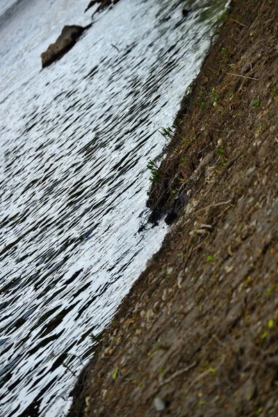 Nehir kıyısı su ve toprak zıtlığıyla