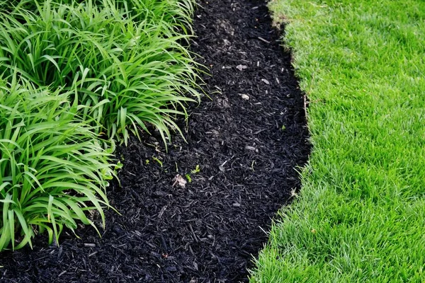 Perfect Geslepen Rand Van Gazon Naast Verse Mulch Compost Mengsel — Stockfoto