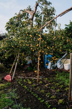 Sahadaki rahat bir köşeden manzara