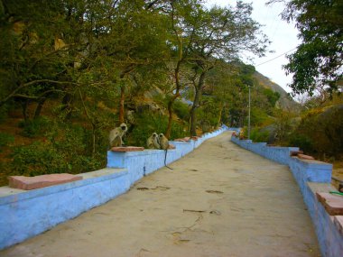 evimize hoş geldiniz