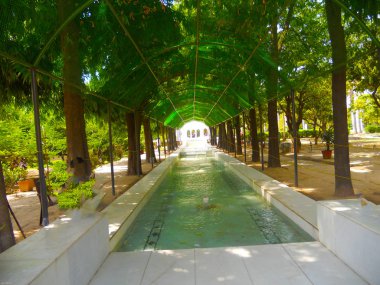 Tatil sırasında parka gitmek