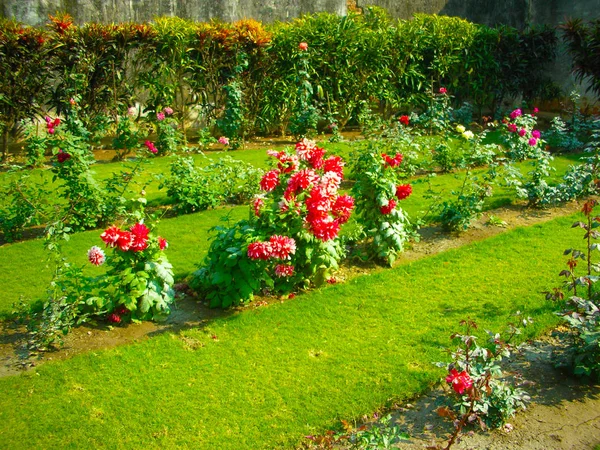 Jardim Rosas Pune — Fotografia de Stock