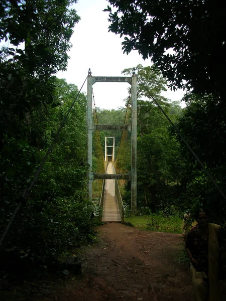 a bridge to nature