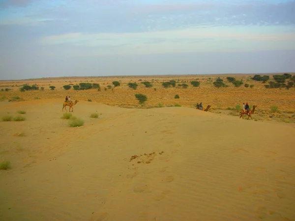 Travelling Indian Desert — Stock Photo, Image