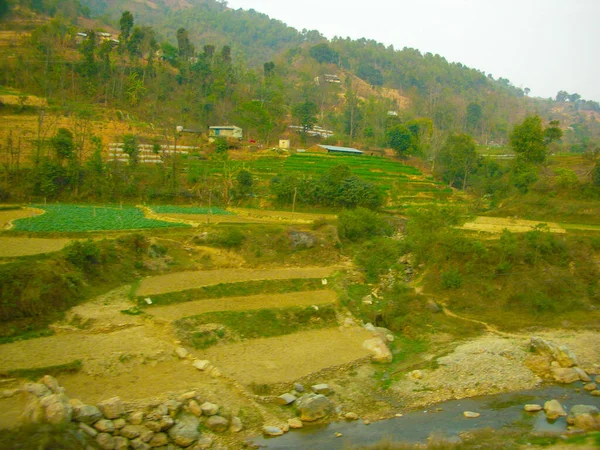 Una Granja Agrícola Nepal — Foto de Stock