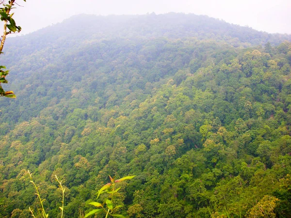 Blick Auf Ein Grünes Tal Pune Indai — Stockfoto