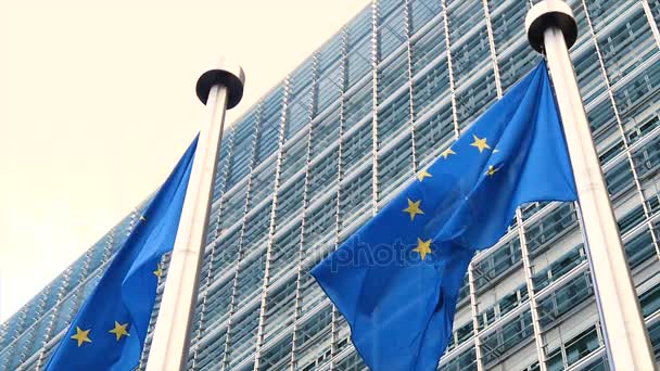 Bendera Uni Eropa Melambai Dalam Angin Dalam Gerakan Lambat — Stok Video