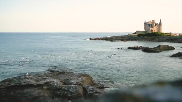 クイベロンの海岸を飛ぶカモメ コート ソーヴァージュ ブルターニュ フランス — ストック動画