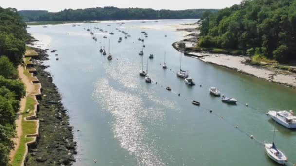 Luftaufnahme Von Booten Die Flussdelta Vor Anker Liegen — Stockvideo