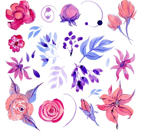 Eine Reihe von Designobjekten. blaue und lila Blätter, rosa und pfirsichfarbene Blüten auf einem Fichtenhintergrund. — Stockfoto