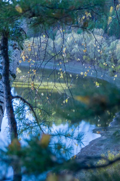 Beautiful River Forest Ravines Birches Pines River Stretches Miles Lowlands — Stock Photo, Image