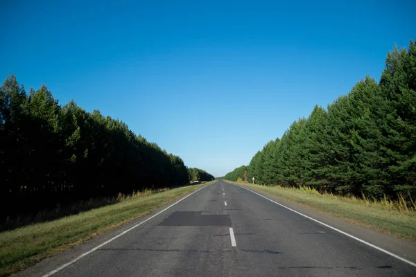 Yol orman kuşağından asfalt döşenmiş. Yaz. Güneşli bir gün. Asfalt. Hiçbir yere götürmeyen yol.