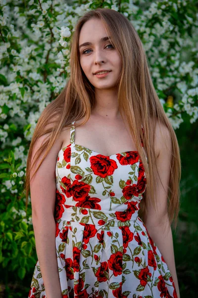 Omsk Rússia Maio 2020 Menina Delgada Jovem Árvores Maçã Uma — Fotografia de Stock