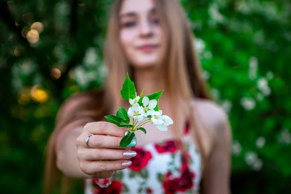 Ein Mädchen Mit Langen Haaren Einem Apfelgarten Blumen Und Apfelblätter — Stockfoto